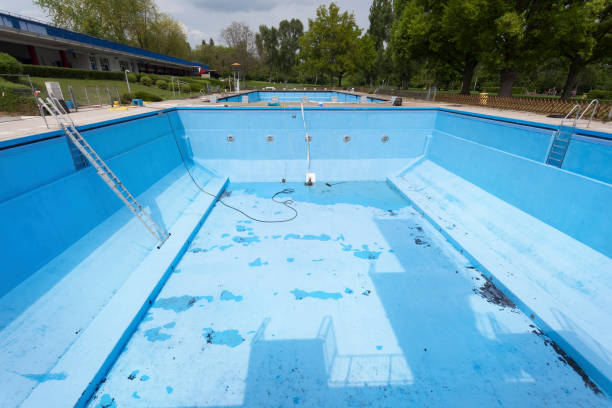 Best Water damage contractors near me  in De Motte, IN
