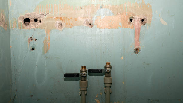 Best Basement water damage restoration  in De Motte, IN