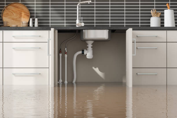 Professional Water damage restoration in IN