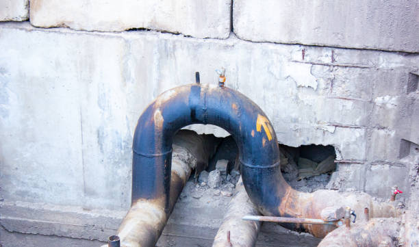 Best Water damage cleanup near me  in De Motte, IN